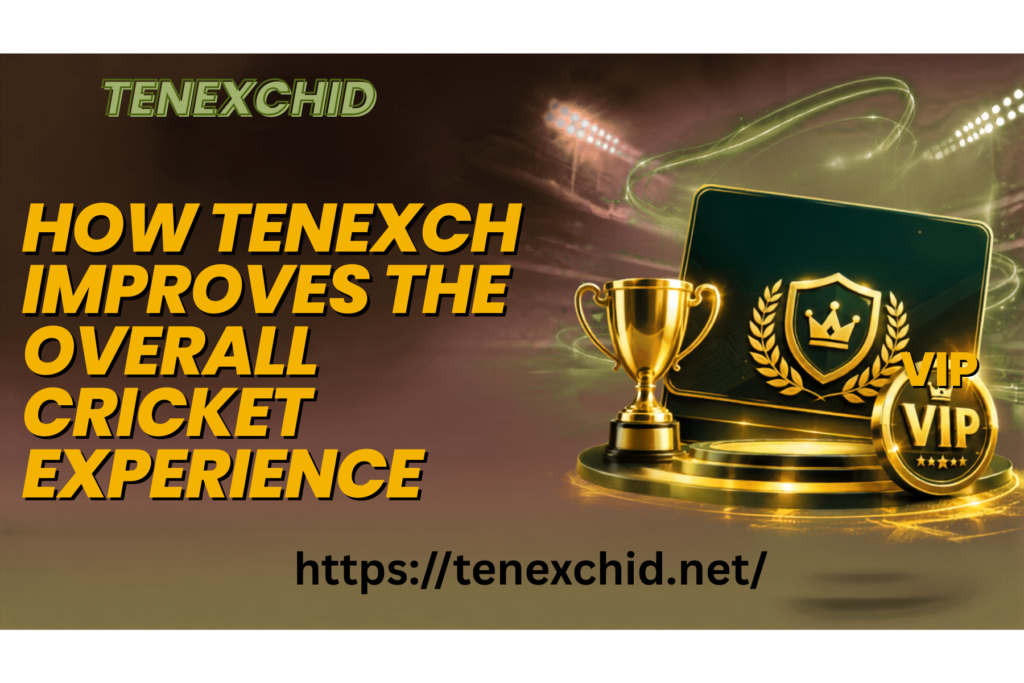 How Tenexch Improves the Overall Cricket Experience